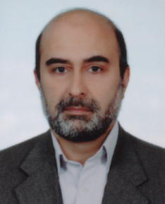 Seyed Alireza Seyedin